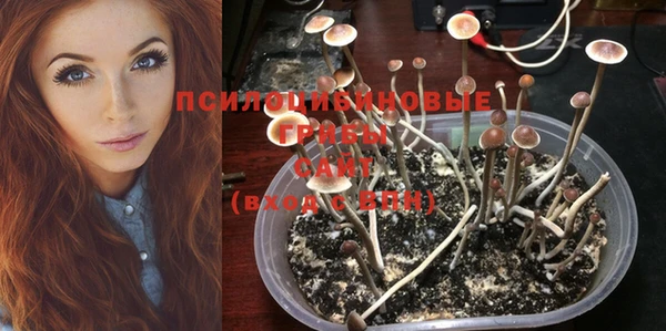 гидропоника Бронницы