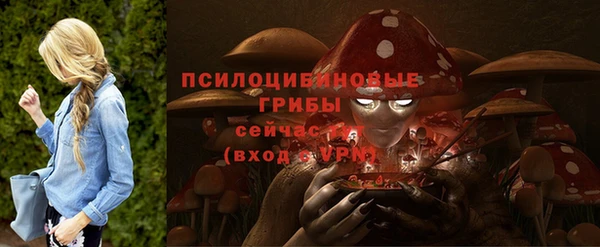 гидропоника Бронницы