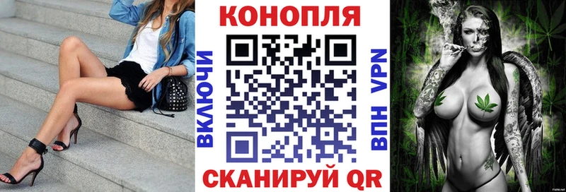 Бошки Шишки семена  цена   Воскресенск 